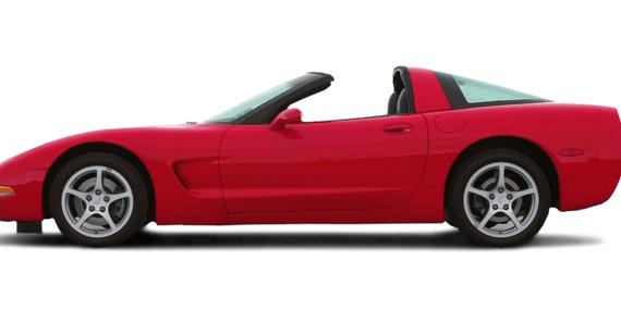 CHEVROLET CORVETTE 2002 1G1YY22G325126661 image