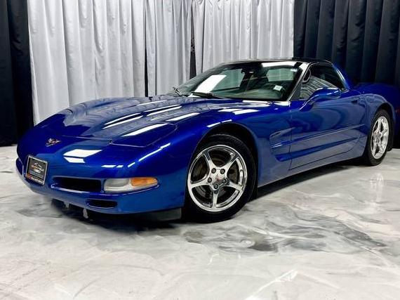 CHEVROLET CORVETTE 2002 1G1YY22G625106890 image