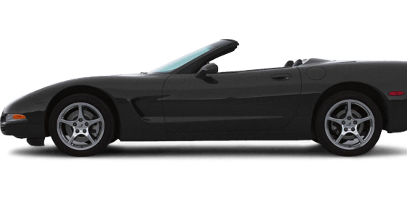 CHEVROLET CORVETTE 2002 1G1YY32G625129219 image