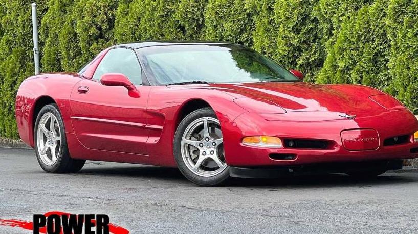 CHEVROLET CORVETTE 2002 1G1YY22G825132584 image