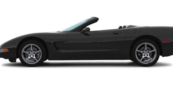 CHEVROLET CORVETTE 2002 1G1YY32G825108596 image