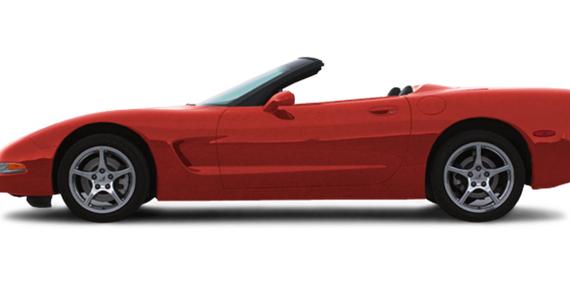 CHEVROLET CORVETTE 2002 1G1YY32G125131069 image