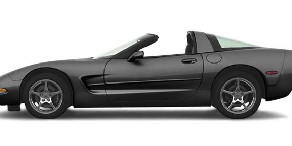 CHEVROLET CORVETTE 2003 1G1YY22G435109322 image