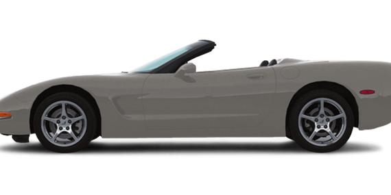 CHEVROLET CORVETTE 2000 1G1YY32GXY5121780 image