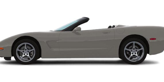 CHEVROLET CORVETTE 2000 1G1YY32G9Y5129806 image