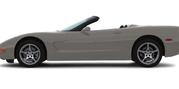 CHEVROLET CORVETTE 2000 1G1YY32G8Y5105156 image