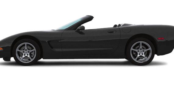 CHEVROLET CORVETTE 2001 1G1YY32G015100071 image