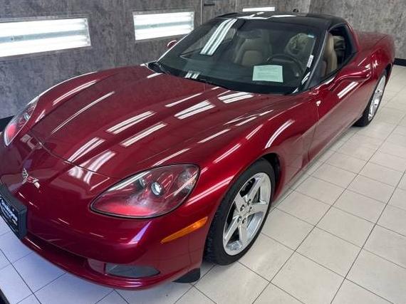 CHEVROLET CORVETTE 2005 1G1YY24U355106157 image