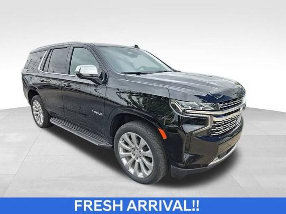 CHEVROLET TAHOE 2023 1GNSKSKD0PR422104 image