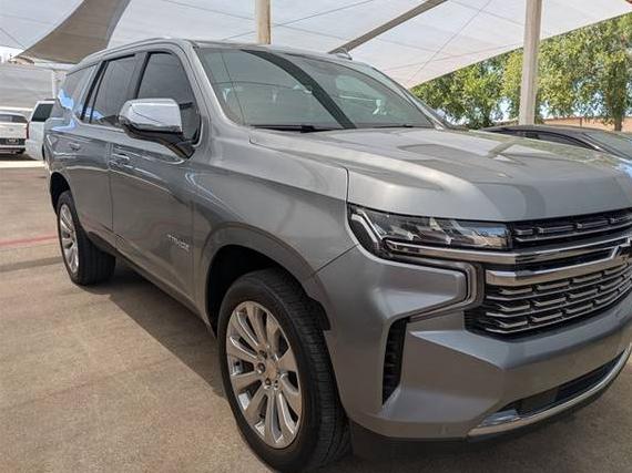 CHEVROLET TAHOE 2023 1GNSKSKD8PR156590 image