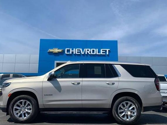 CHEVROLET TAHOE 2024 1GNSKSKD7RR155708 image
