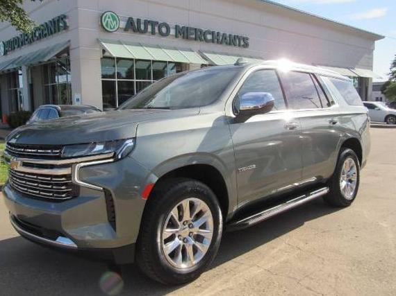 CHEVROLET TAHOE 2024 1GNSCSKD3RR131080 image