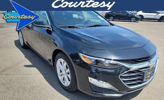CHEVROLET MALIBU 2023 1G1ZD5ST7PF252389 image