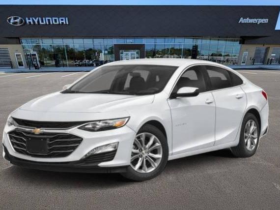 CHEVROLET MALIBU 2023 1G1ZD5ST5PF146927 image