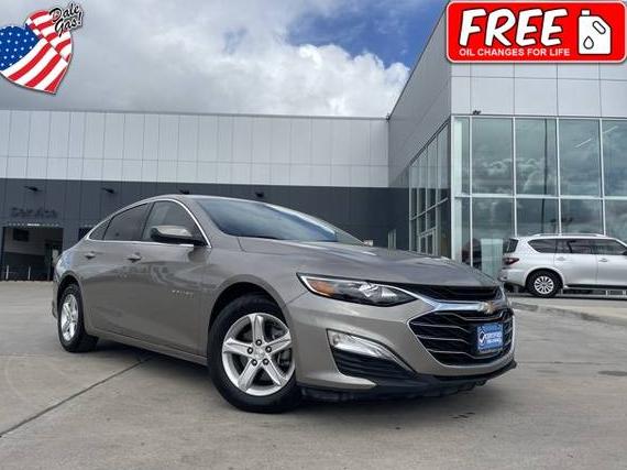 CHEVROLET MALIBU 2023 1G1ZB5STXPF172252 image