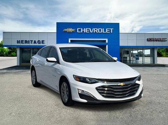 CHEVROLET MALIBU 2023 1G1ZD5ST3PF250168 image