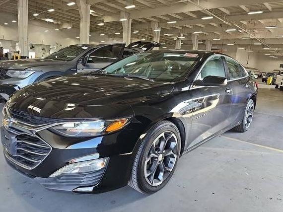 CHEVROLET MALIBU 2023 1G1ZD5STXPF229401 image