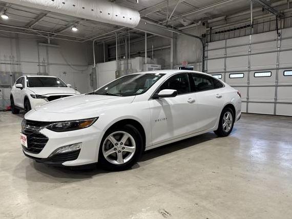 CHEVROLET MALIBU 2023 1G1ZD5ST8PF212368 image