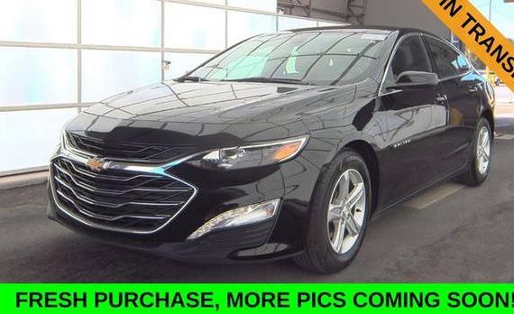 CHEVROLET MALIBU 2023 1G1ZD5ST4PF204137 image