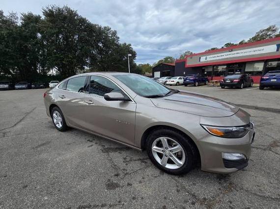 CHEVROLET MALIBU 2023 1G1ZD5ST1PF163367 image