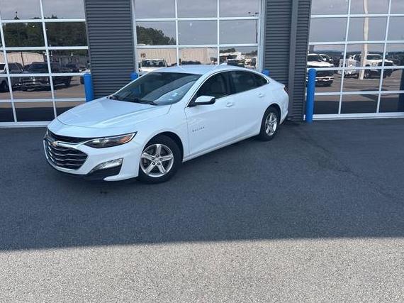 CHEVROLET MALIBU 2023 1G1ZD5ST4PF159684 image