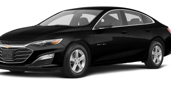 CHEVROLET MALIBU 2023 1G1ZB5ST7PF236361 image