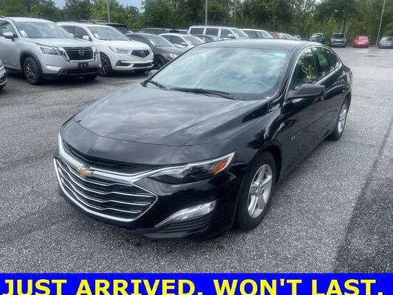 CHEVROLET MALIBU 2023 1G1ZB5ST4PF121264 image