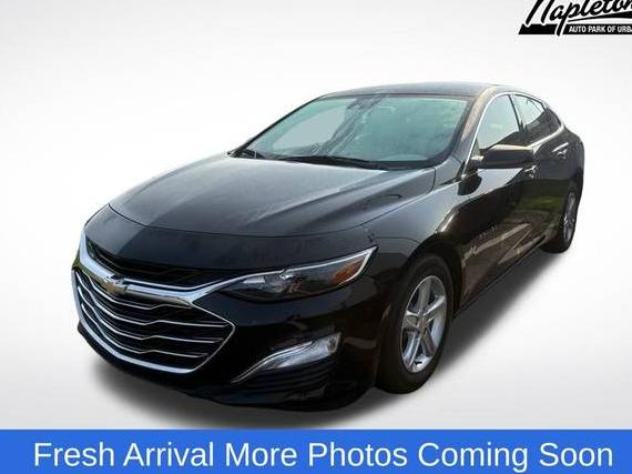 CHEVROLET MALIBU 2023 1G1ZB5ST2PF123899 image
