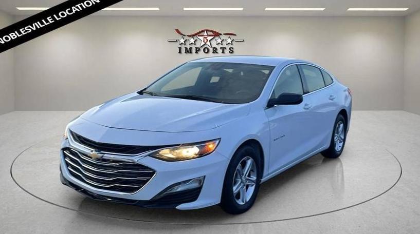 CHEVROLET MALIBU 2023 1G1ZB5ST7PF113675 image