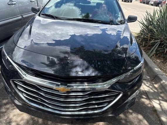 CHEVROLET MALIBU 2023 1G1ZB5STXPF245930 image