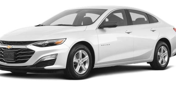 CHEVROLET MALIBU 2023 1G1ZB5ST3PF123961 image