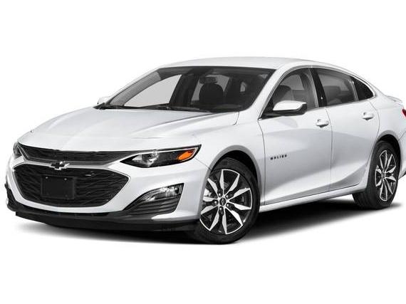 CHEVROLET MALIBU 2023 1G1ZG5ST3PF235354 image