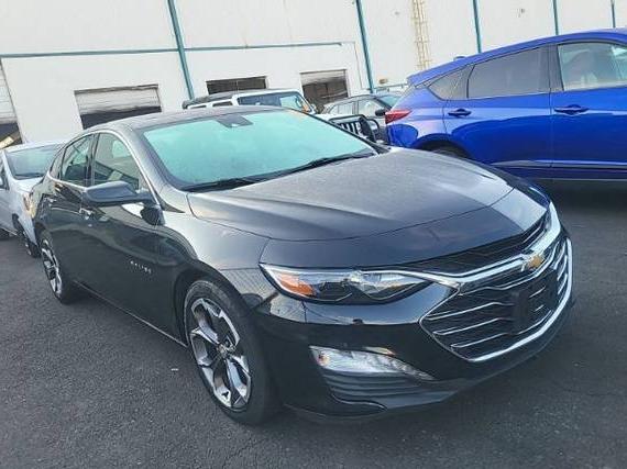 CHEVROLET MALIBU 2023 1G1ZD5ST1PF181304 image