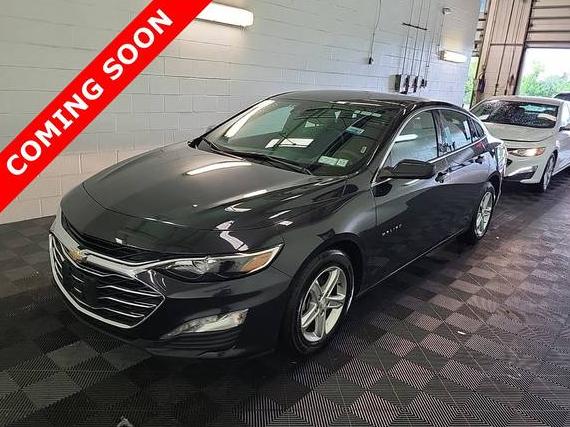 CHEVROLET MALIBU 2023 1G1ZD5ST9PF183446 image