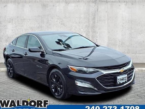 CHEVROLET MALIBU 2023 1G1ZD5ST5PF231962 image