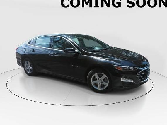 CHEVROLET MALIBU 2023 1G1ZD5ST4PF227594 image