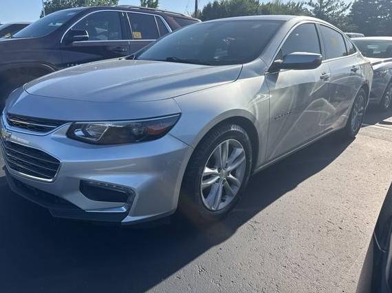 CHEVROLET MALIBU 2016 1G1ZE5ST0GF213611 image