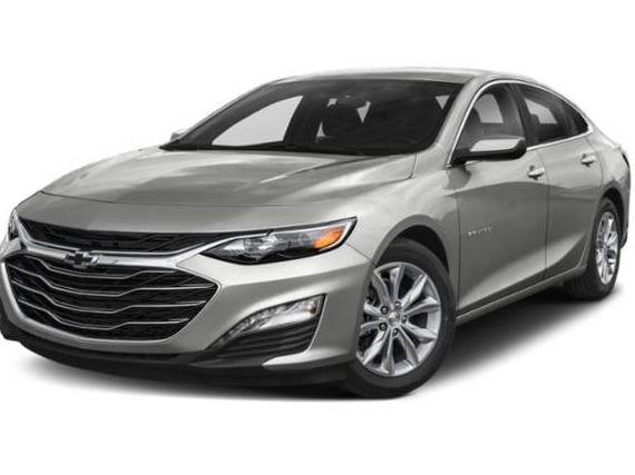 CHEVROLET MALIBU 2019 1G1ZD5ST4KF210643 image