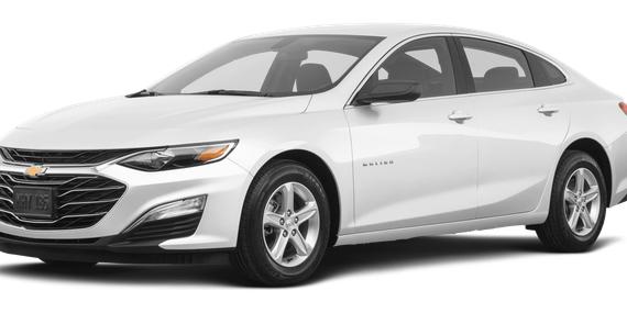 CHEVROLET MALIBU 2019 1G1ZB5STXKF174186 image