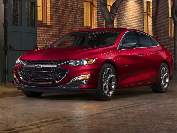 CHEVROLET MALIBU 2019 1G1ZE5SX9KF195167 image
