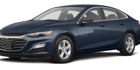 CHEVROLET MALIBU 2019 1G1ZB5ST6KF117225 image