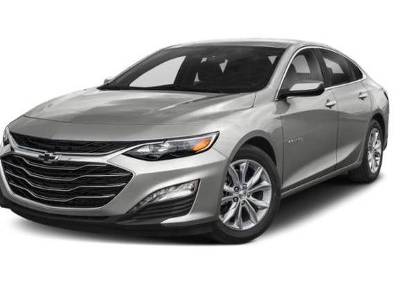 CHEVROLET MALIBU 2019 1G1ZG5ST4KF192118 image