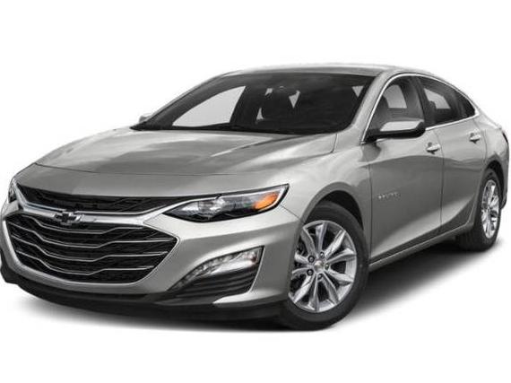 CHEVROLET MALIBU 2019 1G1ZD5ST7KF143925 image