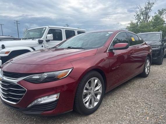 CHEVROLET MALIBU 2019 1G1ZD5ST5KF209615 image
