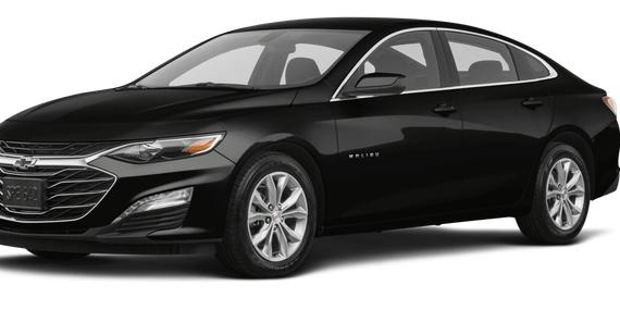 CHEVROLET MALIBU 2019 1G1ZE5SX2KF168750 image
