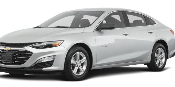 CHEVROLET MALIBU 2019 1G1ZB5ST6KF201755 image