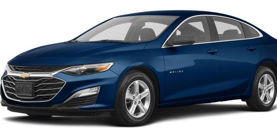 CHEVROLET MALIBU 2019 1G1ZB5ST3KF130692 image