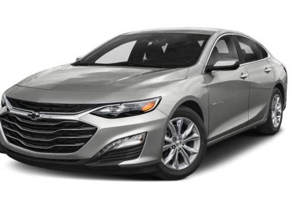 CHEVROLET MALIBU 2019 1G1ZD5ST5KF167446 image