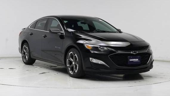 CHEVROLET MALIBU 2019 1G1ZG5ST5KF191009 image CHEVROLET MALIBU 2019 1G1ZG5ST5KF191009 image