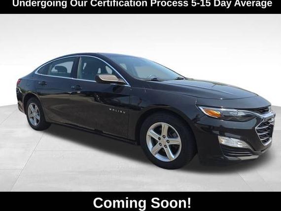 CHEVROLET MALIBU 2019 1G1ZB5STXKF203816 image